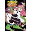 Koyoharu Gotouge Demon Slayer: Kimetsu no Yaiba, Vol. 14 (Tascabile)