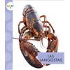 Mari C Schuh Las Langostas (Tascabile) Animales del Océano