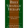 Giorgio Nardone Paul Watzlawick Brief Strategic Therapy (Tascabile)