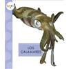 Mari C Schuh Los Calamares (Tascabile) Animales del Océano