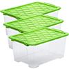 Rotho Evo Safe Keeping Set di 3 Scatole di Conservazione con Coperchio, Plastica (PP) senza BPA, Verde/Trasparente, 3 x 44 L, 59.0 x 39.5 x 28.0 cm