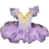 HWBZSZY Professionale Balletto Tutù Vestito Bambini Colorato Lago dei Cigni Ballerina Partito Danza Costume Lucido Paillettes Ginnastica Danza Body Sala da ballo Dancewear per le ragazze,Viola,120cm