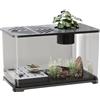 Bollisate Acquario Per Betta - Grande Kit per Acquario da Scrivania | Contenitore Moderno con Area di Riposo per Tartarughe, Decorazioni per Casa per Betta, Gamberetti e Piante Acquatiche, Accessori