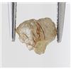 Surat*Diamond*City Grezzo Diamante 0.61tcw Naturale Irregolare Forma A Fare Pendente con