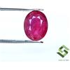 SBI Gems 10x8 MM Certificato Rubino Naturale Taglio Ovale 2.66 Cts Mozambico Loose Gemma