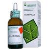ARCANGEA Srl Clorofilla Gocce 50 ml - Integratore Alimentare