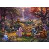 Ceaco - Thomas Kinkade - Disney - Robin Hood - Puzzle da 1000 pezzi