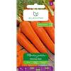 W.Legutko Carota commestibile Primo raccolto - precoce