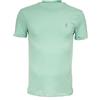 POLO RALPH LAUREN T-SHIRT IN COTONE POLO RALPH LAUREN 507 VERDE ACQUMARINE Uomo
