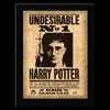 Harry Potter - Undesirable No. 1 Sign ( Nnxt0023 ) ACC NUOVO