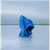 Fuis Here'S to Asking for Help (Vinyl LP)