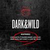 BTS DARK & WILD (CD) Import