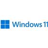 Microsoft FQC-10538 0889842905991 MICROSOFT WINDOWS 11 Pro 64Bit Italian 1pk DSP OEI DVD F