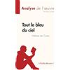Kelly Carrein Tout le bleu du ciel de Mélissa da Costa (Analyse de l (Tascabile)