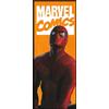 Komar Marvel IADX2-070 - Carta da parati in tessuto non tessuto, motivo: Spider-Man Comic, dimensioni: 100 x 250 cm (larghezza x altezza), fumetti, Marvel, cameretta dei bambini, carta da parati