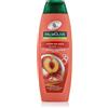 Palmolive Hydra Balance Shampoo 2 in 1 350 ml