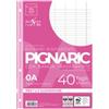 PIGNA Ricambi forati rinforzati Pignaric - A4 - rigo di 1a - 80gr - Pigna - conf. 40 pezzi (unità vendita 1 pz.)