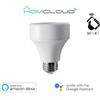Homcloud Adattatore Wi-FI lampadina E27/E27 dimmerabile