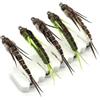 AMZfishing NUOVO AMZfishing® 5 Pezzi Ninfe di Plecotteri | Plecotteri per trota e temolo | Mosche artificiali realistiche | Ninfe per fly fishing | Esche trota e temolo