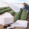 Generic Telo Ombreggiante Bianco 50% UV Rete Protettiva con Occhielli, Vela da Sole Antivento Traspirante per Ombreggiare Piante, Serre, Pergole, Giardini, Balconi, Orto, Pollai ed Esterni(4 * 4m)