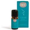 Hp Italia Purae Linea Essenze da Nebulizzare Oli Essenziali Balsamici Respira Alpino 10 ml