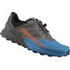 Dynafit Alpine - scarpe trail running - uomo, Grey/Blue/Orange