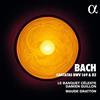 AMPED Cantate Per Contralto Bwv 169