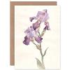 Wee Blue Coo Flower Violet Iris Watercolour Greeting Card With Envelope Inside Premium Quality Fiore Acquerello