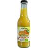 AGRO PIC 100% Succo di Arancia Biologico, Senza Zuccheri Aggiunti, Senza Conservanti, Bottiglia di Vetro, 200 ml