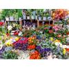 Ravensburger Puzzle 12001815 - Flower Market, Francia - Puzzle fotografico da 500 pezzi della serie «Colorful Markets», per adulti e bambini dai 12 anni in su