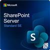 Microsoft SharePoint Server Standard SE