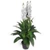 Leaf LEAF-7241 - Pianta artificiale Cymbidium Orchidea, in plastica nera, extra large, 90 cm, colore: Bianco