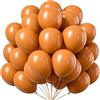 EWODEIEW Palloncini Arancioni, 60 Pezzi 25 cm Palloncini Rotondi in Lattice Arancione Chiaro, Decorazione Arancione Chiaro per Compleanno, Palloncino per Festa di San Valentino, Compleanno, Matrimonio