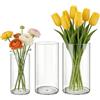 MELEJIA Set di 3 Vasi in Acrilico, Rotondo Vaso Trasparente, Vaso Indistruttibile Leggero, Vasi Resistente per Fiori Freschi/Finti, Decorazione Interna/Esternea (10 x 20cm, 12 x 25cm e 15 x 25cm)