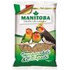 Generico Miscuglio Manitoba per Inseparabili, mangime completo per pappagalli inseparabili e calopsite, semi di qualità italiana, depolverato | 2 confezioni da 1 chilogrammo l'una.