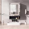 BLSYHDH, Armadietto da Bagno con LED, Armadietto da Toilette con Specchio, Specchio da Bagno con Ripiani, Ripiani Interni Regolabili, con Funzione Antiappannamento (1 Porta-A, 50x88)