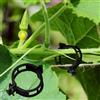 Winmany 100 clip di supporto per piante da giardino, supporti per pomodori, per collegare piante, spago, viti, tralicci, gabbie, vite e verdure, clip di fissaggio per innesto, per far crescere in