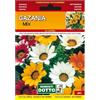 Sicignano Casalinghi Ingrosso Casalinghi Sicignano | Semi Gazania - Pianta a Fioritura Estiva con Fiori Grandi, Busta Extra - 2 Confezioni da 0.08g, Raccolta Estate