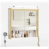 ELUCHANG Specchio da Bagno con Contenitore e Luci, Pensile da Bagno con 2 Ante, 1 Scomparto Aperto e 2 Vani Chiusi, Ripiano Interno Regolabile,Bianco+Dorata, 60x13x60cm