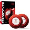 FEROSTICKER Piccolo estintore Automatico - Non tossico, Compatto e Senza Manutenzione, Protezione antincendio per Cassette fusibili, generatori solari, Veicoli, batterie al Litio, cabine (2 Pezzi)