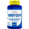 Yamamoto Nutrition ZmaPRO integratore alimentare a base di zinco, magnesio e vitamina B6 (Zma Cordyceps 60 cps)