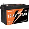 Yeagulch 12V 314Ah Batteria al Litio LiFePO4, 4019Wh, BMS 200A, Oltre 15000 Cicli, per Autocaravan, Sistemi Solari Off-Grid