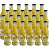 AGRO PIC 100% Succo di Arancia Biologico, Senza Zuccheri Aggiunti, Senza Conservanti, Bottiglia di Vetro, 200 ml (24, L)