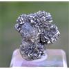 Marcasite Sperkise 48 Grammi - Cap Bianco-Naso (Escalles) Pas-De-Calais, Francia