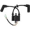 SzxJkmf Bobina di accensione adatta for fuoribordo 9.9HP-20HP MS LH ES 66M-85570 66M-85570-01 66M-85570-02 66M-85570-03