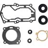 Generico Set guarnizioni Testata Cilindro 27-815076A2, Compatibile con Motore fuoribordo Mercury 2.2HP .5HP 3.3HP 815076A03 815076A04 8M0203727