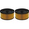 vhbw set da 2x filtro a pieghe piatte compatibile con Kärcher WD 5.200 MP, WD 5.220 MP, WD 5.260, WD 5.270 aspiratore umido/secco - Cartuccia filtrante