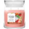 YANKEE CANDLE Signature Jar Candles White Strawberry Bellini 368g - Candela Profumata