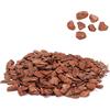 Yctze Lettiera in Corteccia per Rettili - Lettiera in Granuli di Corteccia di Pino per Tartarughe, Lucertole e Terrari (Granuli piccoli 250g)