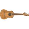 Fender Zuma Exotic Concert Ukulele, Noce Fingerboard in Maple